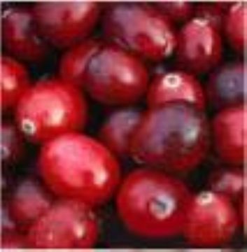 Cranberry P.E.